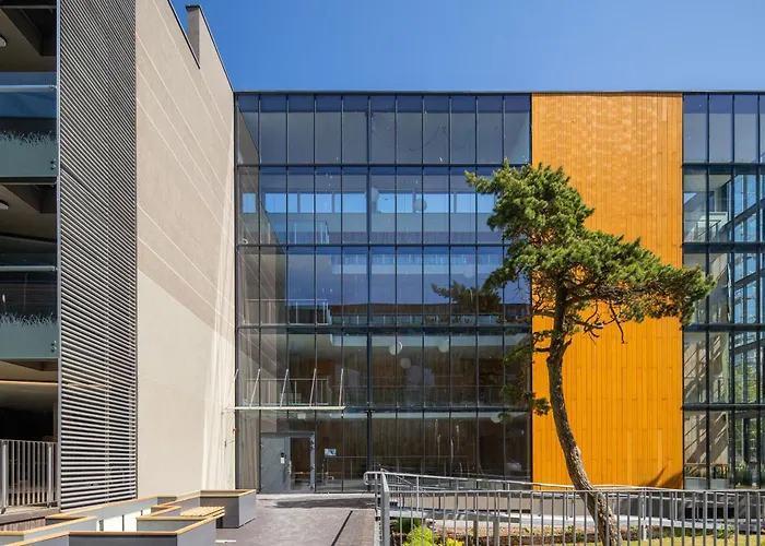 Sea Whisper Apartamentai Daukanto G Palanga